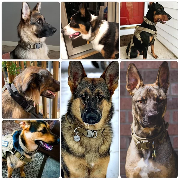 Dog Training Collar Adjustable Tactical Dog Collar And Leash Set Control Handle Pet Lead Collar For Small Big Dogs - Image 6